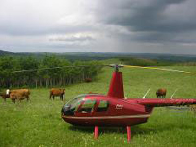 KiwiAir helicopters offers cattle herding, locatind, and roundup services.